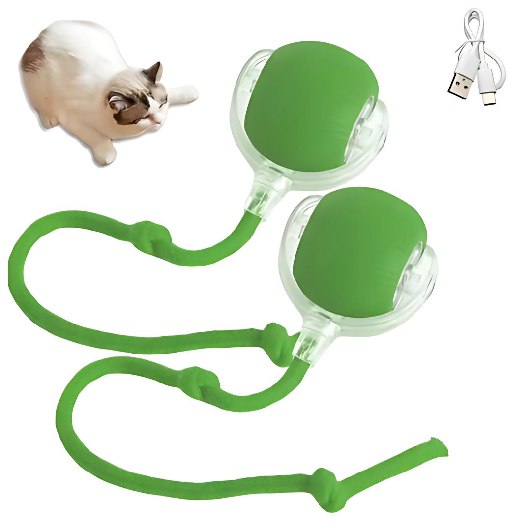 Cat Electronic Tail