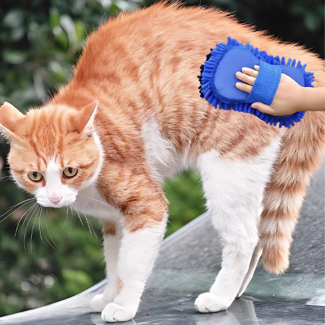 Dog & Cat Microfiber Sponge