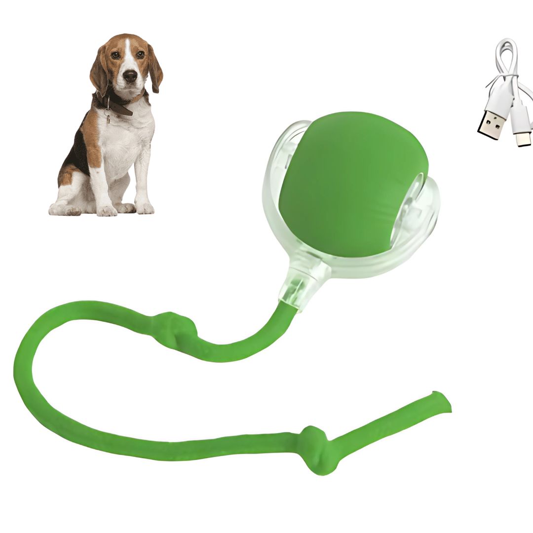 Dog Electronic Tail