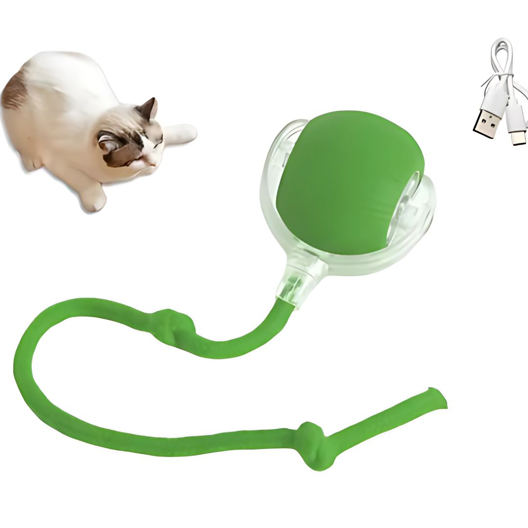 Cat Electronic Tail