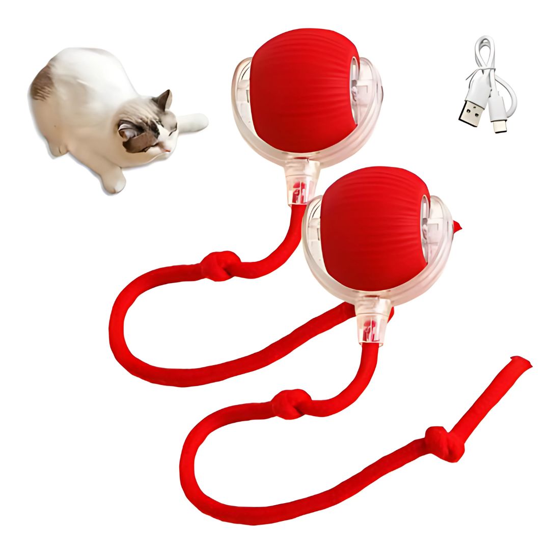 Cat Electronic Tail