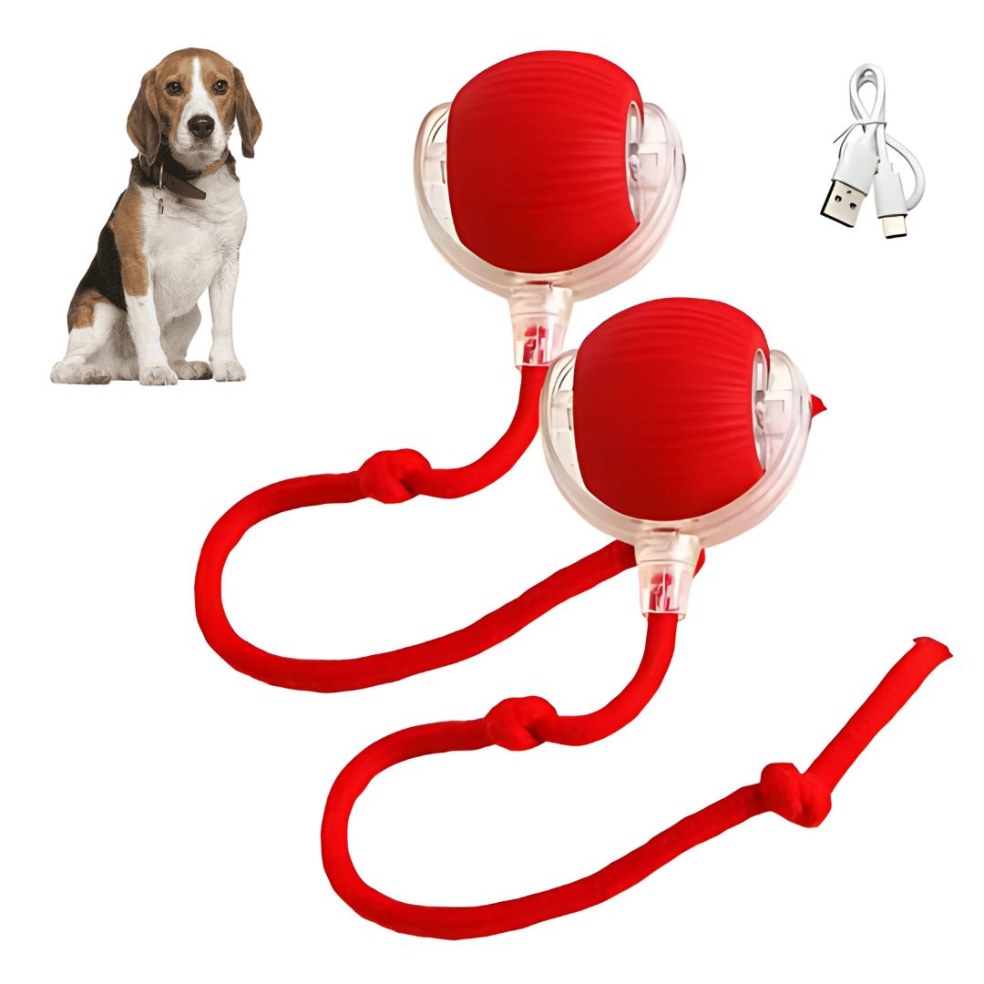 Dog Electronic Tail