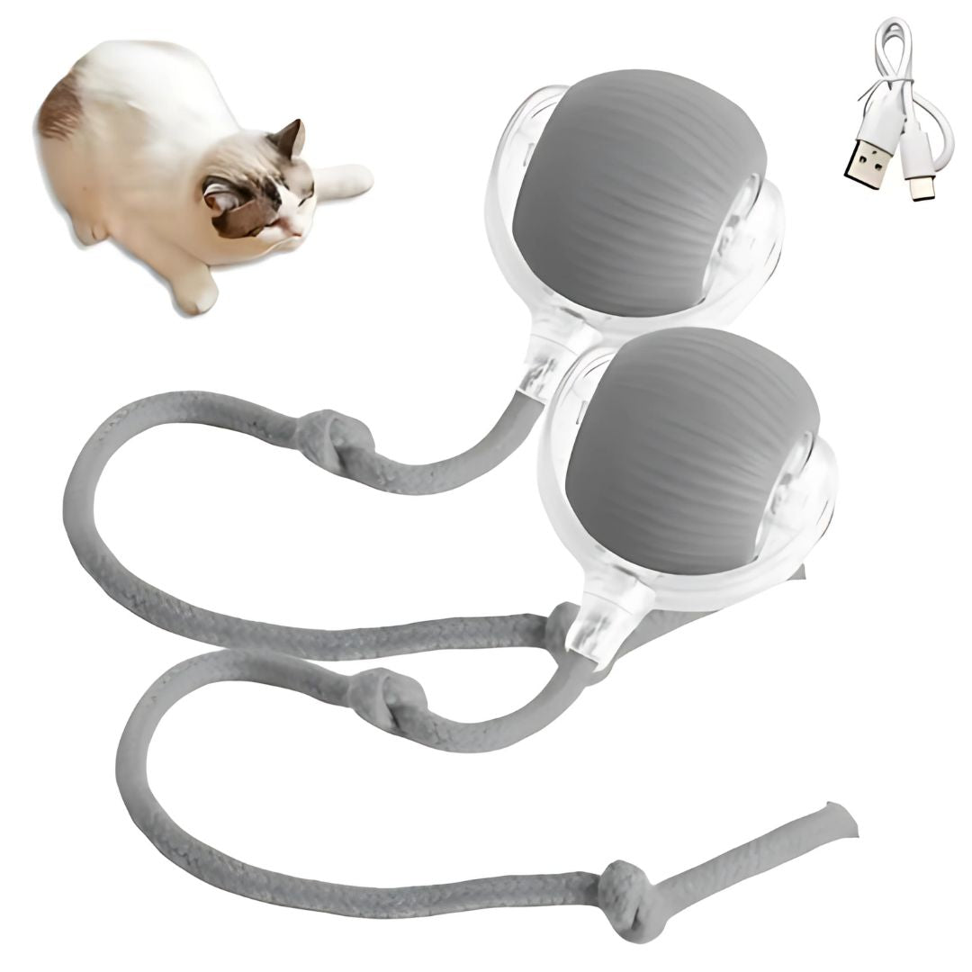 Cat Electronic Tail