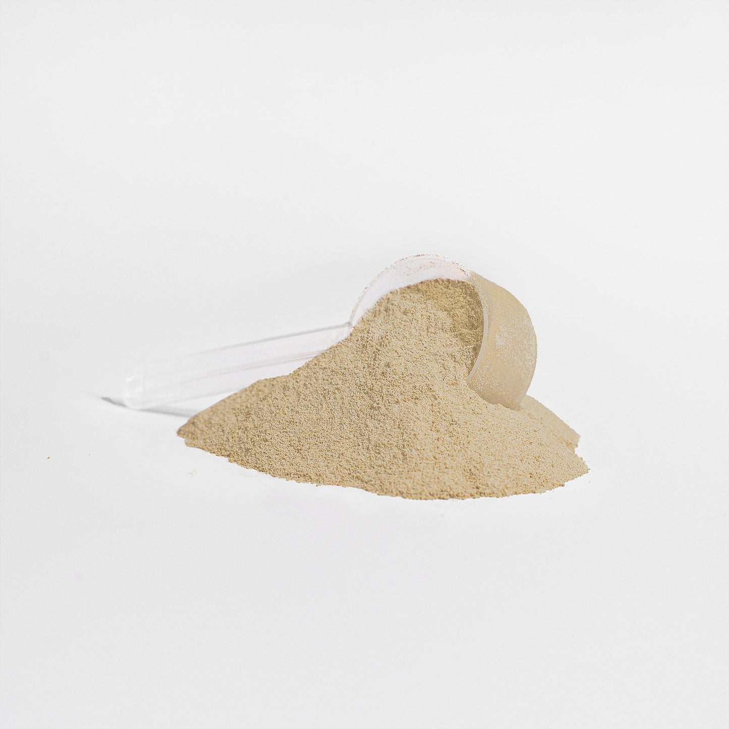 Power Swing Whey Protein