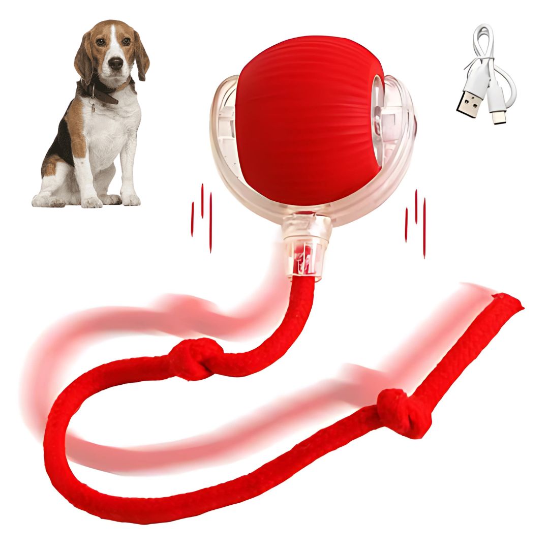 Dog Electronic Tail