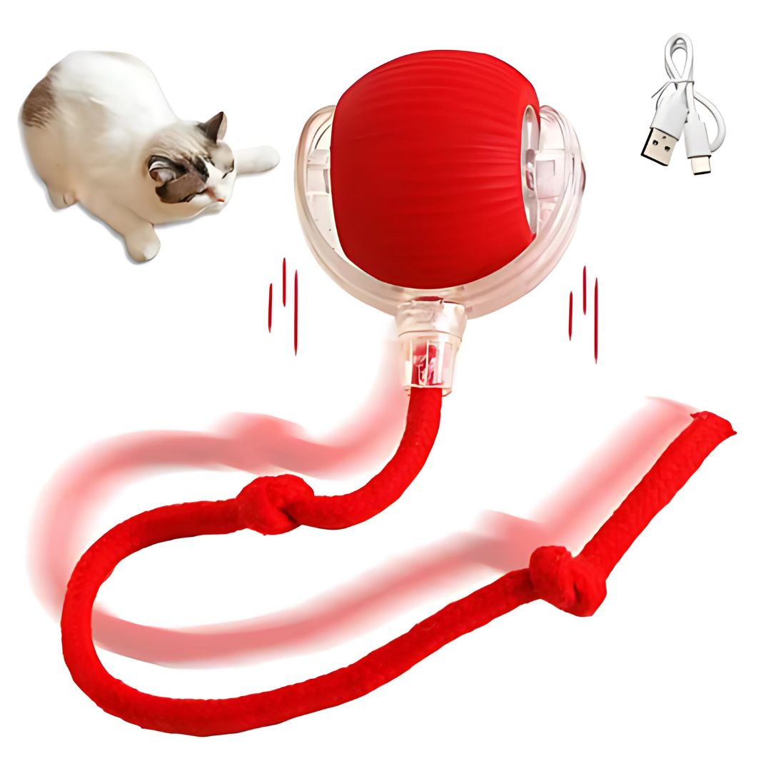 Cat Electronic Tail
