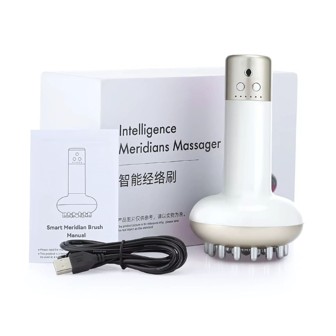 Dog & Cat EMS Red Light Massager
