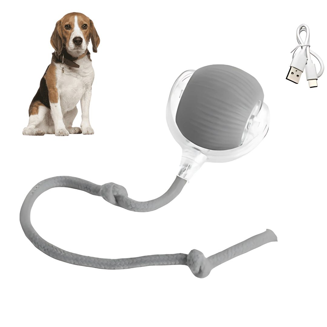 Dog Electronic Tail