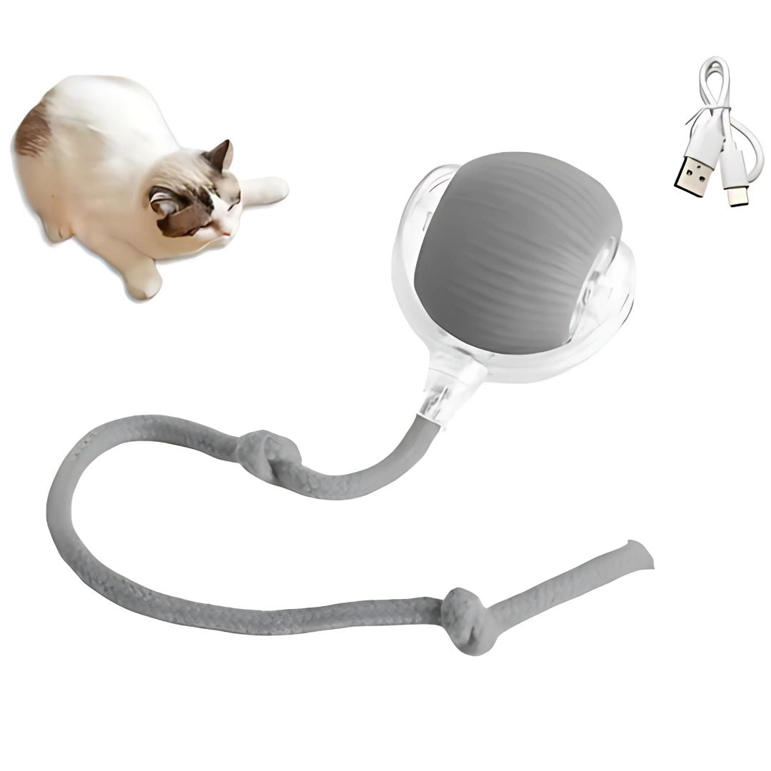 Cat Electronic Tail