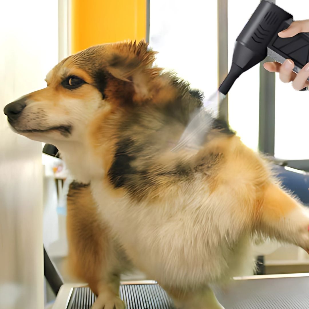 Dog & Cat Turbo Jet