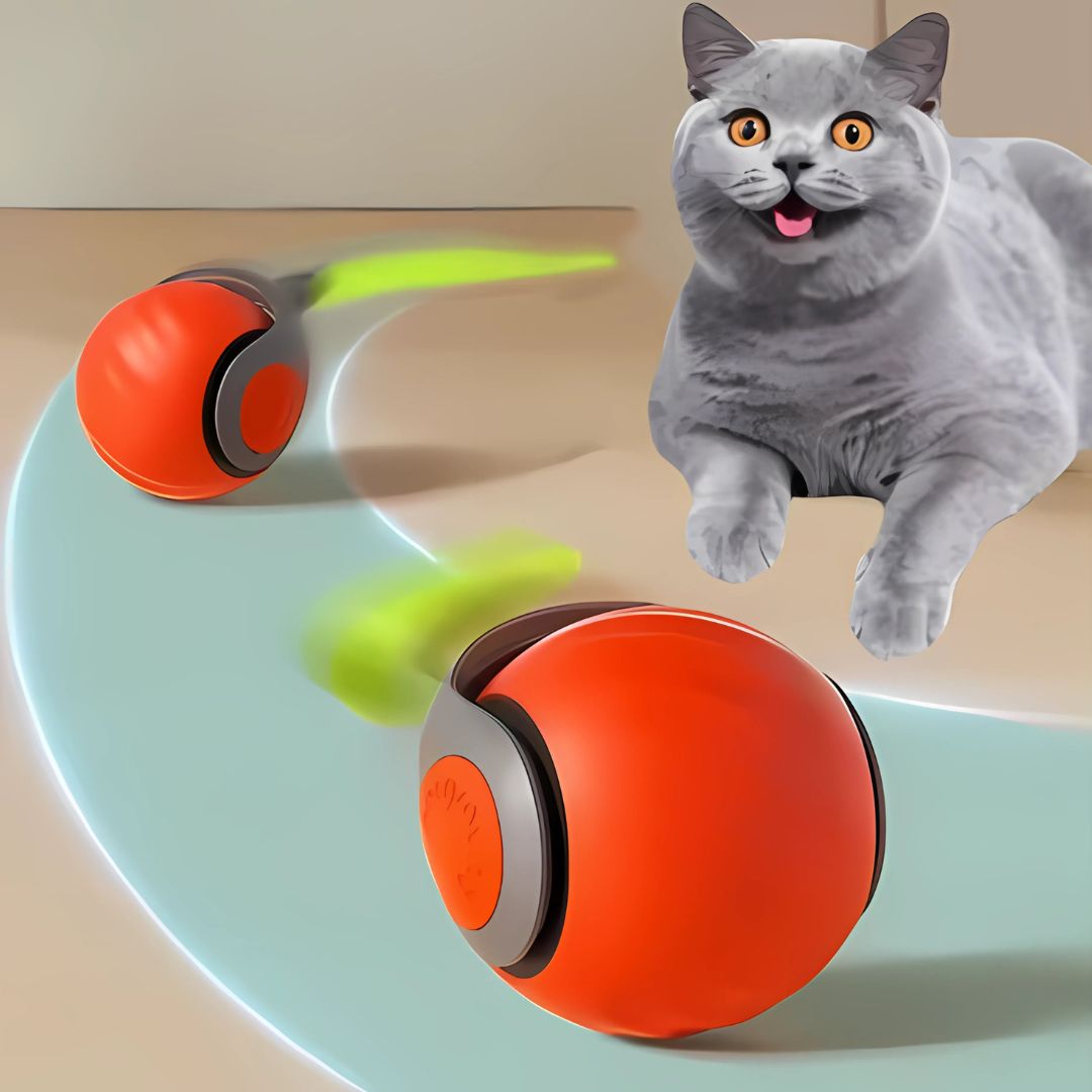 Cat Electronic Tail
