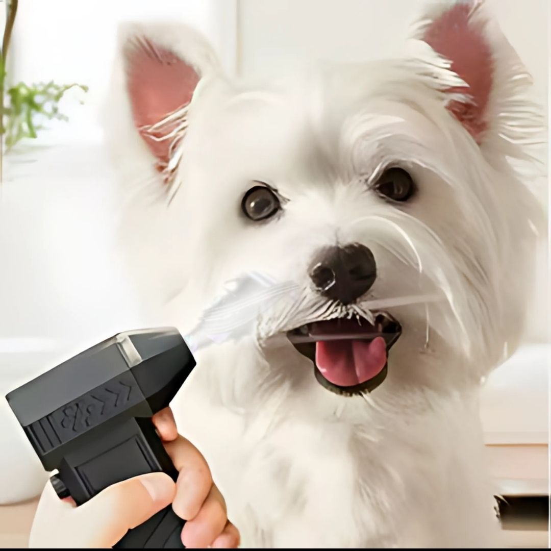 Dog & Cat Turbo Jet