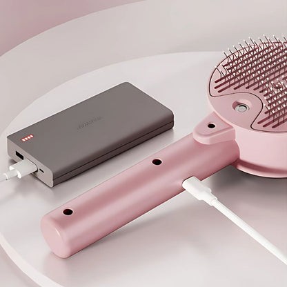 Dog & Cat Round Mist Brush