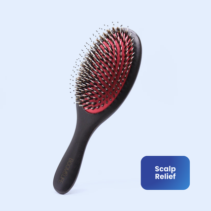 Posture Shop Dandruff Remover Hair Brush
