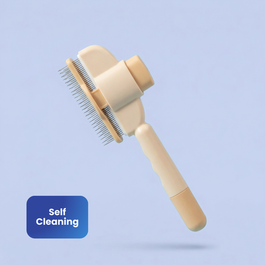 Posture Shop Drandruff Remover Brush