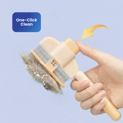 Posture Shop Drandruff Remover Brush