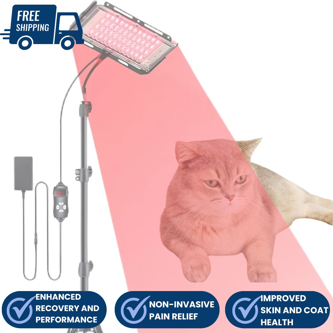 Dog & Cat Red Light Lamp