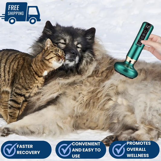 Dog & Cat Red Light Cupping Therapy