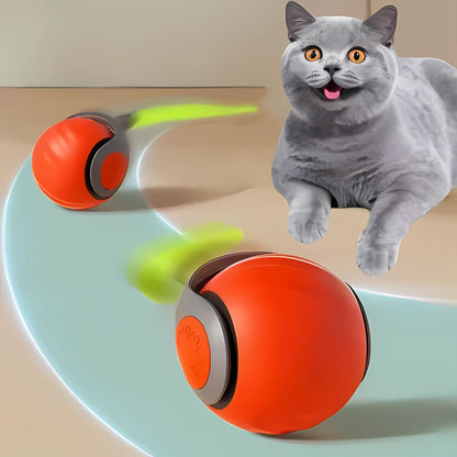 Cat Electronic Tail