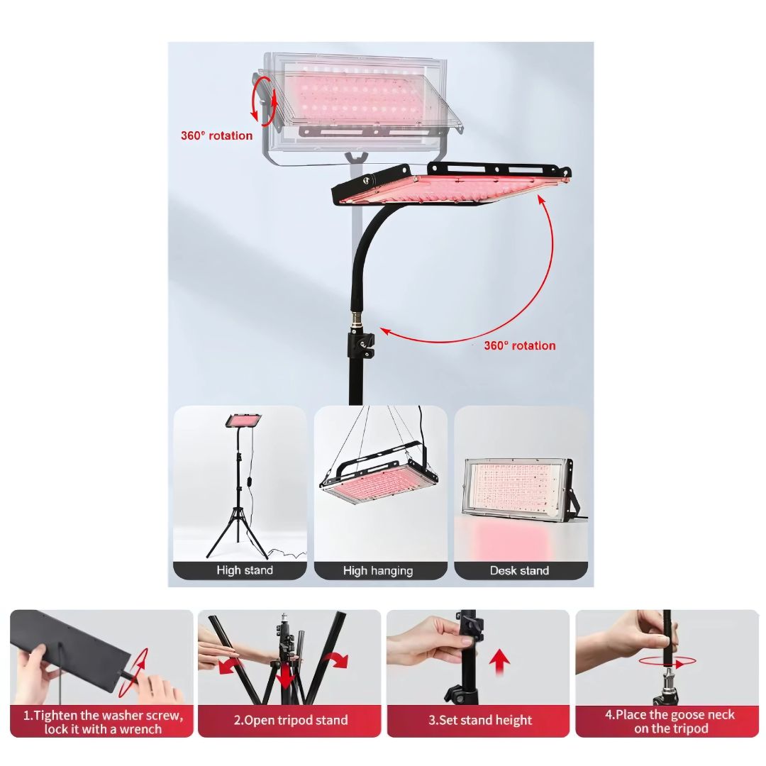 Dog & Cat Red Light Lamp