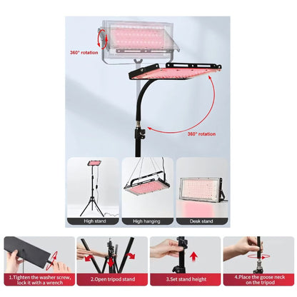 Dog & Cat Red Light Lamp
